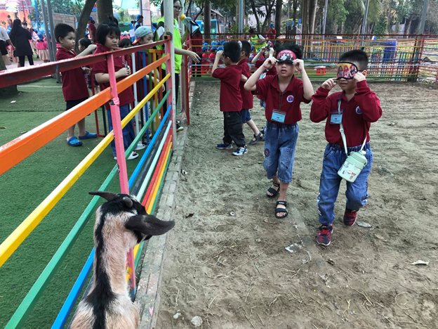 Chuyến tham quan thú vị của các bạn học sinh Trường Tiểu học Bình Minh   tại Khu trải nghiệm Cánh Buồm Xanh Park 20