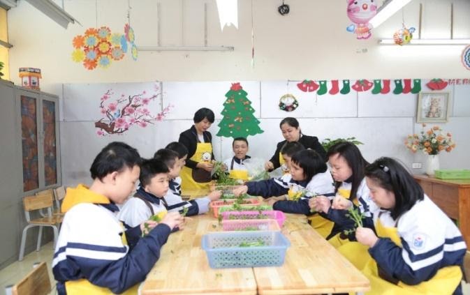 Hướng nghiệp - Trái tim xanh 8