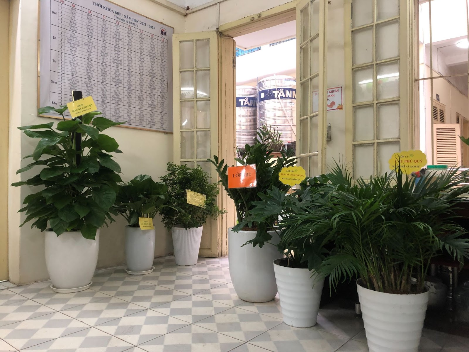 Trường Tiểu học Bình Minh phát động và hưởng ứng Tết trồng cây “Đời đời nhớ ơn Bác Hồ” Xuân Quý Mão 2023 gắn với xây dựng trường học xanh, sạch, đẹp 11