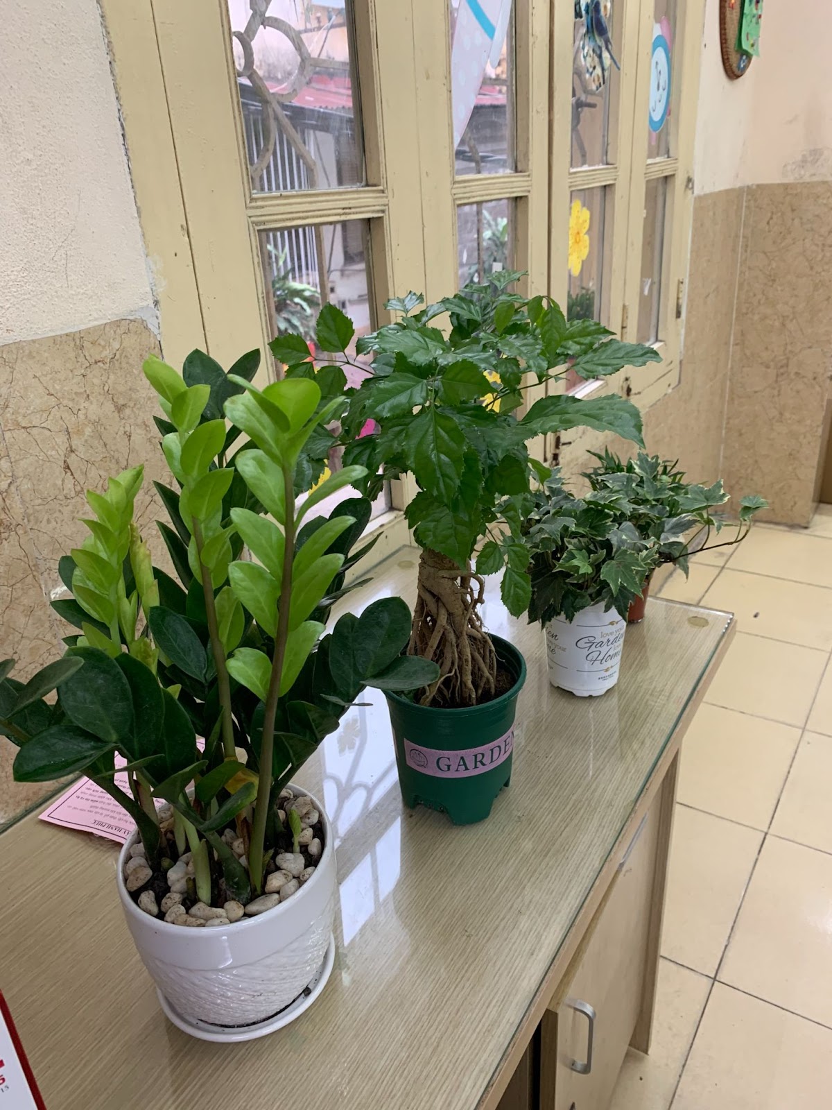 Trường Tiểu học Bình Minh phát động và hưởng ứng Tết trồng cây “Đời đời nhớ ơn Bác Hồ” Xuân Quý Mão 2023 gắn với xây dựng trường học xanh, sạch, đẹp 13
