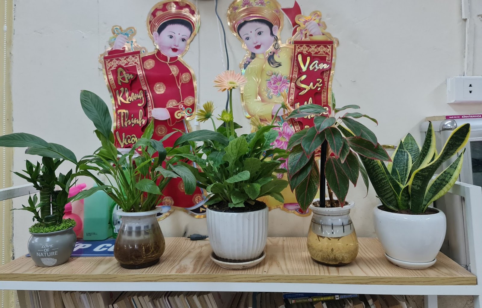 Trường Tiểu học Bình Minh phát động và hưởng ứng Tết trồng cây “Đời đời nhớ ơn Bác Hồ” Xuân Quý Mão 2023 gắn với xây dựng trường học xanh, sạch, đẹp 14