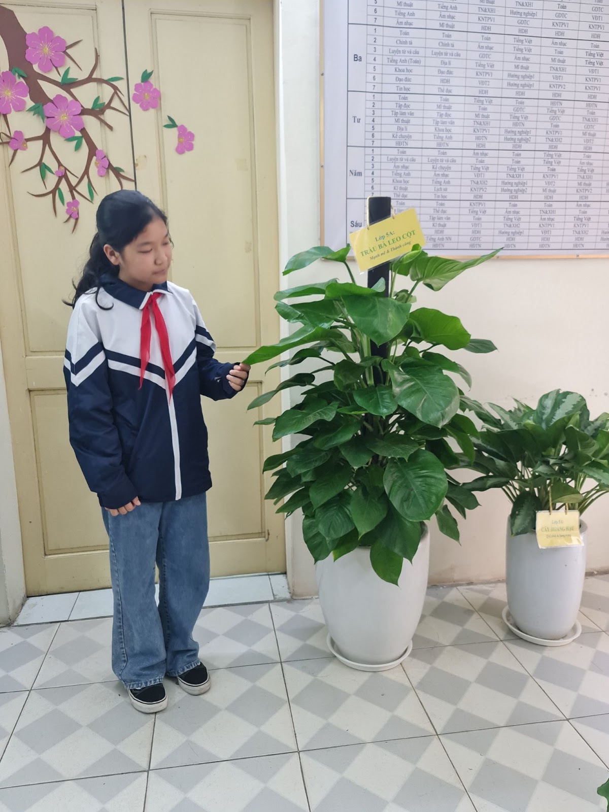 Trường Tiểu học Bình Minh phát động và hưởng ứng Tết trồng cây “Đời đời nhớ ơn Bác Hồ” Xuân Quý Mão 2023 gắn với xây dựng trường học xanh, sạch, đẹp 17