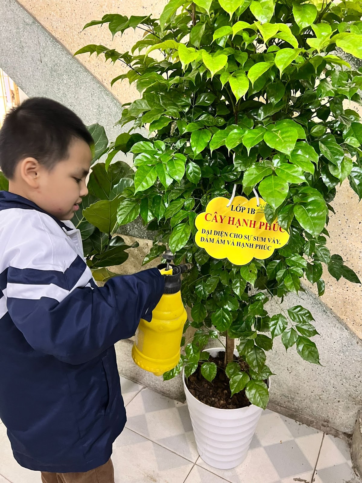 Trường Tiểu học Bình Minh phát động và hưởng ứng Tết trồng cây “Đời đời nhớ ơn Bác Hồ” Xuân Quý Mão 2023 gắn với xây dựng trường học xanh, sạch, đẹp 5