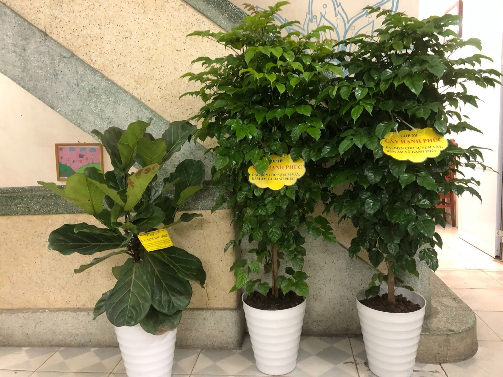 Trường Tiểu học Bình Minh phát động và hưởng ứng Tết trồng cây “Đời đời nhớ ơn Bác Hồ” Xuân Quý Mão 2023 gắn với xây dựng trường học xanh, sạch, đẹp 9