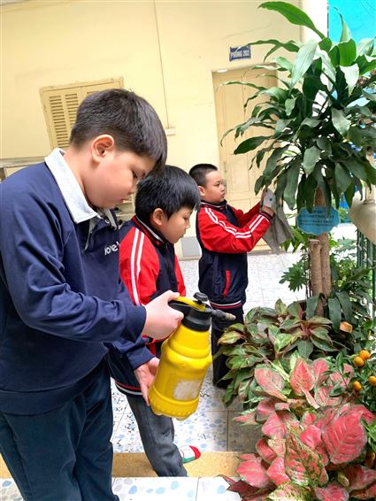 ​​​​​​TRƯỜNG TIỂU HỌC BÌNH MINH HƯỞNG ỨNG PHONG TRÀO “TẾT TRỒNG CÂY – VÌ MỘT THỦ ĐÔ XANH, SẠCH, ĐẸP”