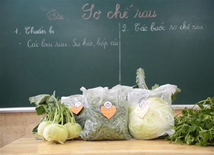 Hướng nghiệp - Trái tim xanh